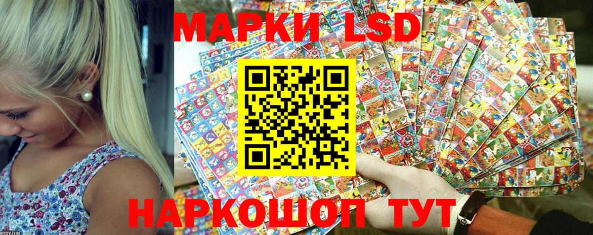 купить   Шумерля  Марки N-bome 1500мкг 