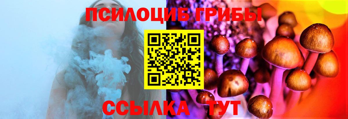 Псилоцибиновые грибы Psilocybine cubensis Шумерля